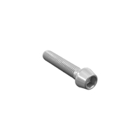 LighTech Hexagonal Head Ergal Cl 004 M4 L. 15