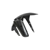 Carbon Front Mudguard for Ducati Multistrada 