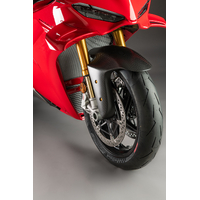 Carbon Front Mudguard Panigale V4 2025