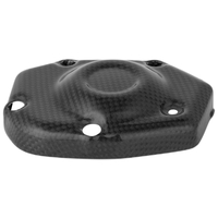 Kawasaki Z900 Carbon Pick Up Cover