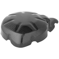 Kawasaki Z900 Carbon Electric Cover