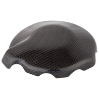 Kawasaki ZX6R/ZX636 Carbon Electric Cover