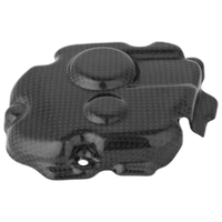 Kawasaki ZX 10R Carbon Pick Up Cover