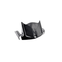 Kawasaki ZX 10R Carbon Rear Mudguard