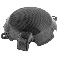 Kawasaki ZX 10R Carbon Electric Cover