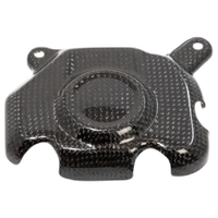 Kawasaki Z800 Carbon Pick Up Cover