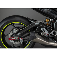 Triumph Street Triple 765 Carbon Arm Protections (Pair)