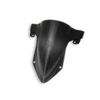 CRB112L - BMW S1000RR GLOSSY CARBON WIND SCREEN
