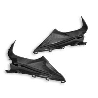 CRB113L - BMW S1000RR GLOSSY CARBON INFIL PANEL