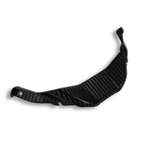 BMW S1000RR CENTRAL AIR DEFLECTOR GLOSSY CARBON
