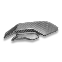 BMW S1000RR MY23 FRAME SIDE PANEL GLOSSY CARBON