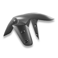 MTS V4 RS CARBON FRONT MUDGUARD
