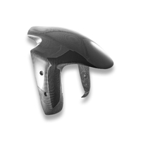 CRB225L - PANIGALE V4 MY25 GLOSSY CARBON FRONT FENDER