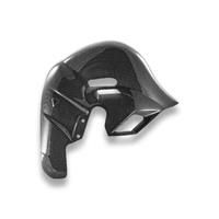 CRB230L - PANIGALE V4 (2025) GLOSSY CARBON EXHAUST COVER