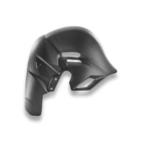 CRB230O - PANIGALE V4 (2025) MATT CARBON EXHAUST COVER