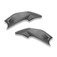PANIGALE/SF V4 (2025) MATT CARBON FRAME COVER