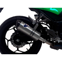 KAWASAKI NINJA 300R 12-17 Termignoni Slip On