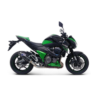 Kawasaki Z800 13-17 Termignoni Slip On