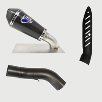 Kawasaki Z900 17-20 Termignoni Slip on