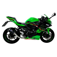 Kawasaki ZX-4RR 24-25 Termignoni Full System