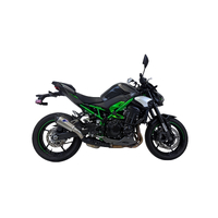 Kawasaki Z900 24-25 Termignoni Slip On