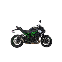 Kawasaki Z900 24-25 Termignoni Slip On