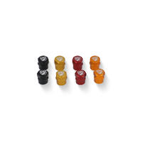 Wheel valve cap kit