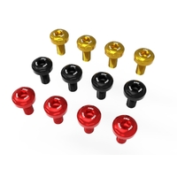 PANIGALE V4 MY 2025 HEEL GUARD SCREW KIT