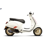 Vespa 125/Primavera/150 08-22 Termignoni Slip On