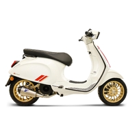 Vespa 125/Primavera/150 08-22 Termignoni Slip On