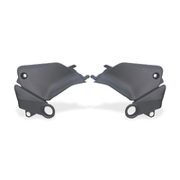 Fuel tank side covers Ducati Panigale V4 - Carbon
