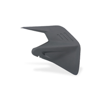 Swingarm cover Ducati Panigale V4 Streetfighter V4 - Carbon