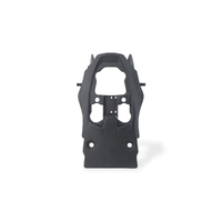Undertail cover Ducati Panigale V4 - Carbon