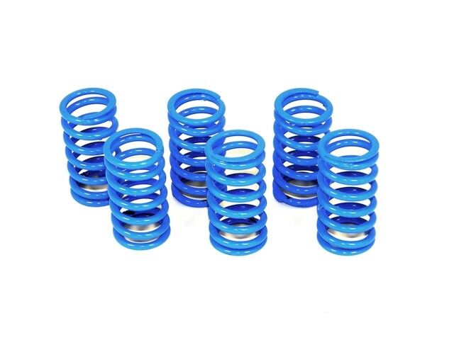DBK Kit Clutch Springs