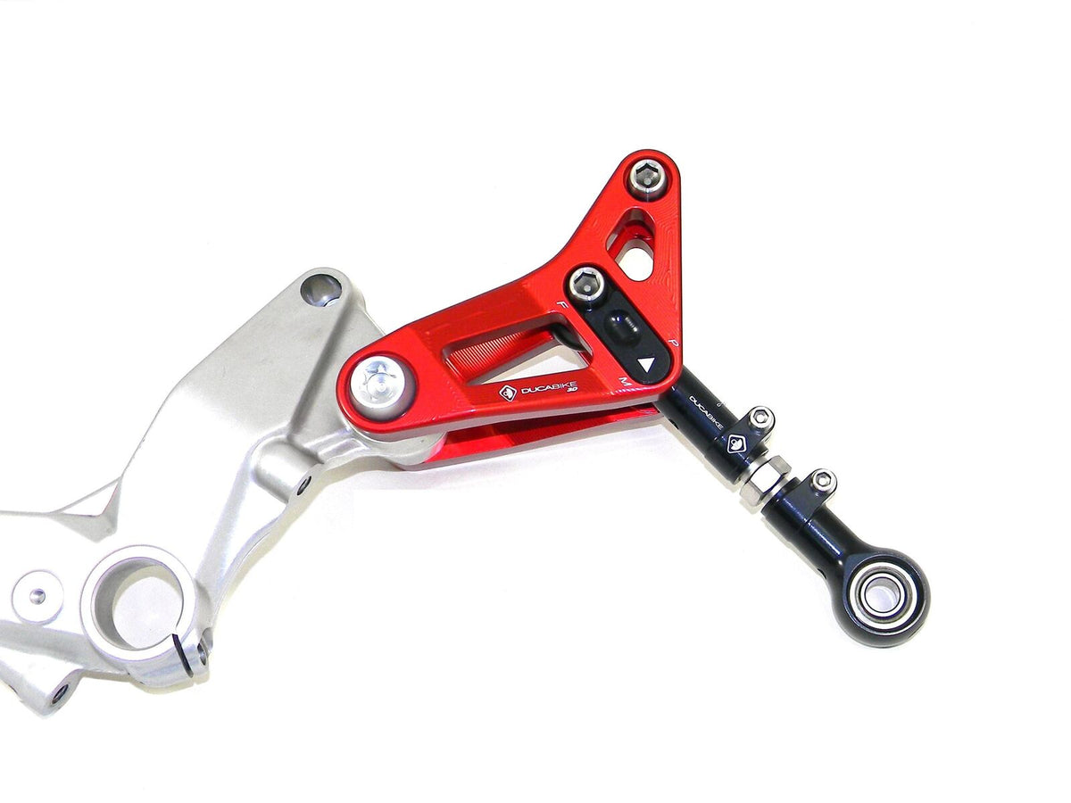 DBK Rear Link Suspension Panigale