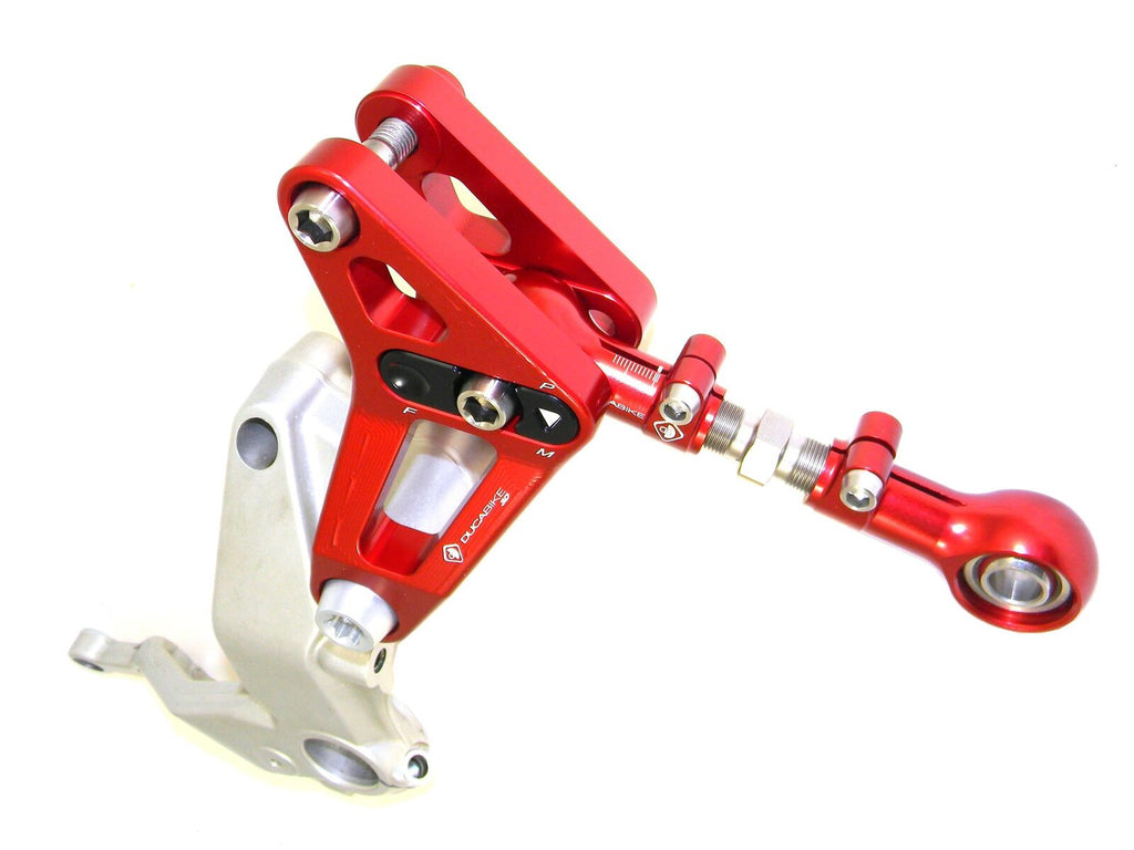 DBK Rear Link Suspension Panigale