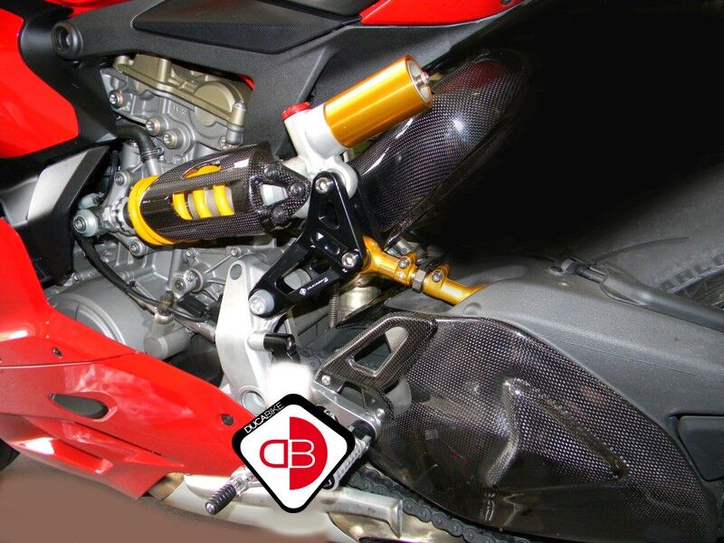 DBK Rear Link Suspension Panigale