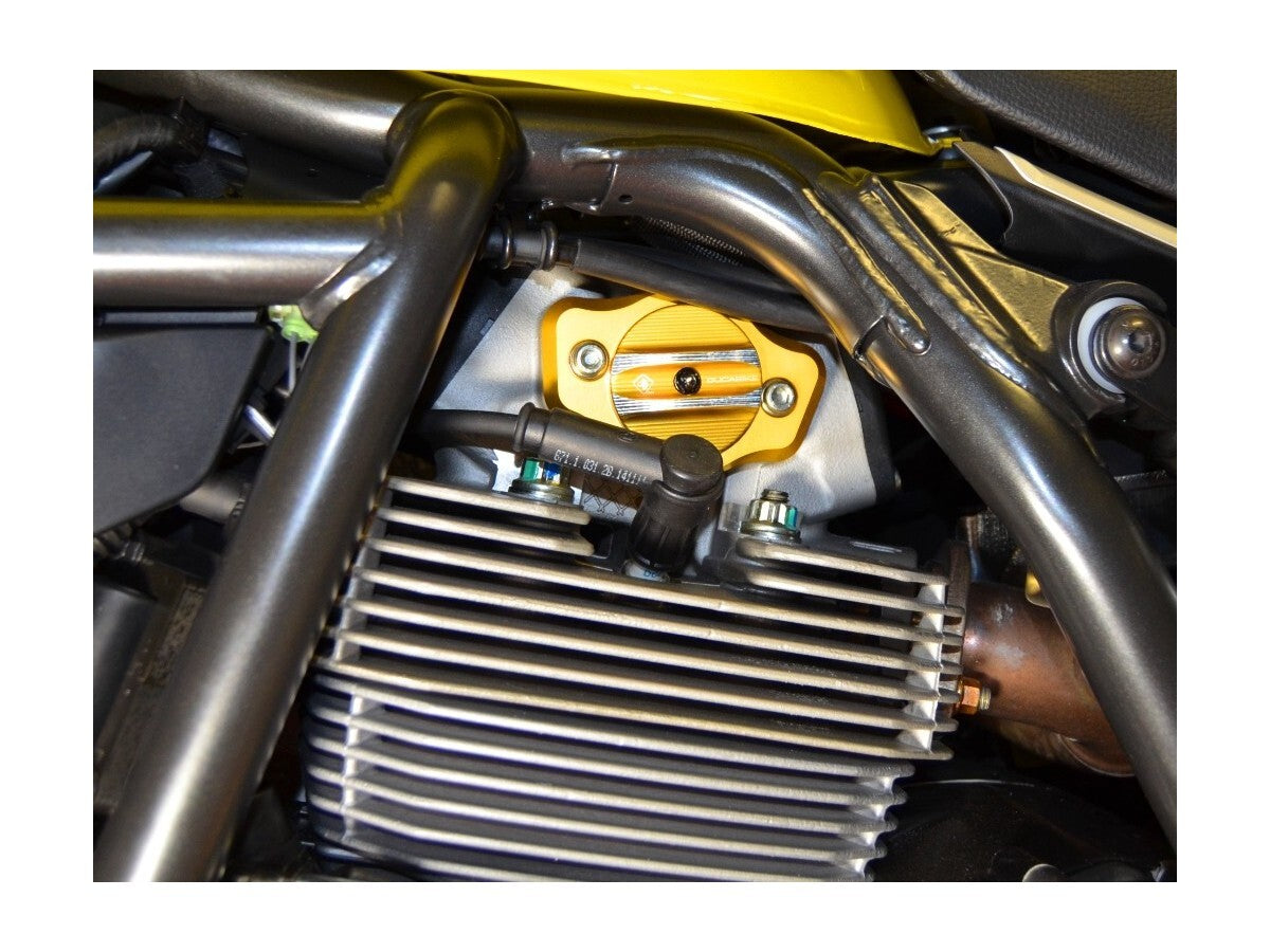 DBK Cam Shaft Cover