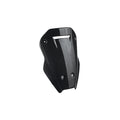 LighTech Carbon Windshied for Ducati MULTISTRADA V4 2021–2024