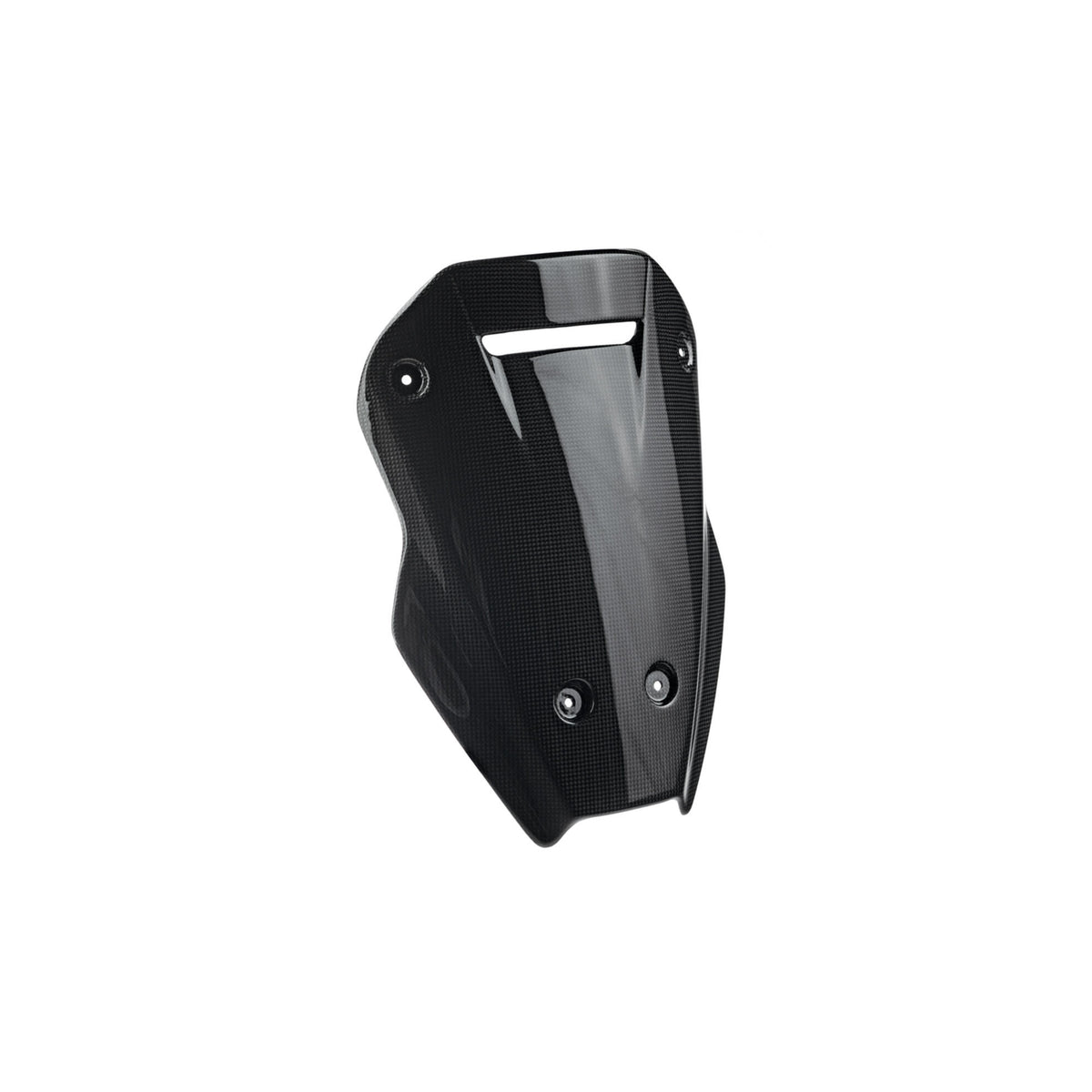 LighTech Carbon Windshied for Ducati MULTISTRADA V4 2021–2024