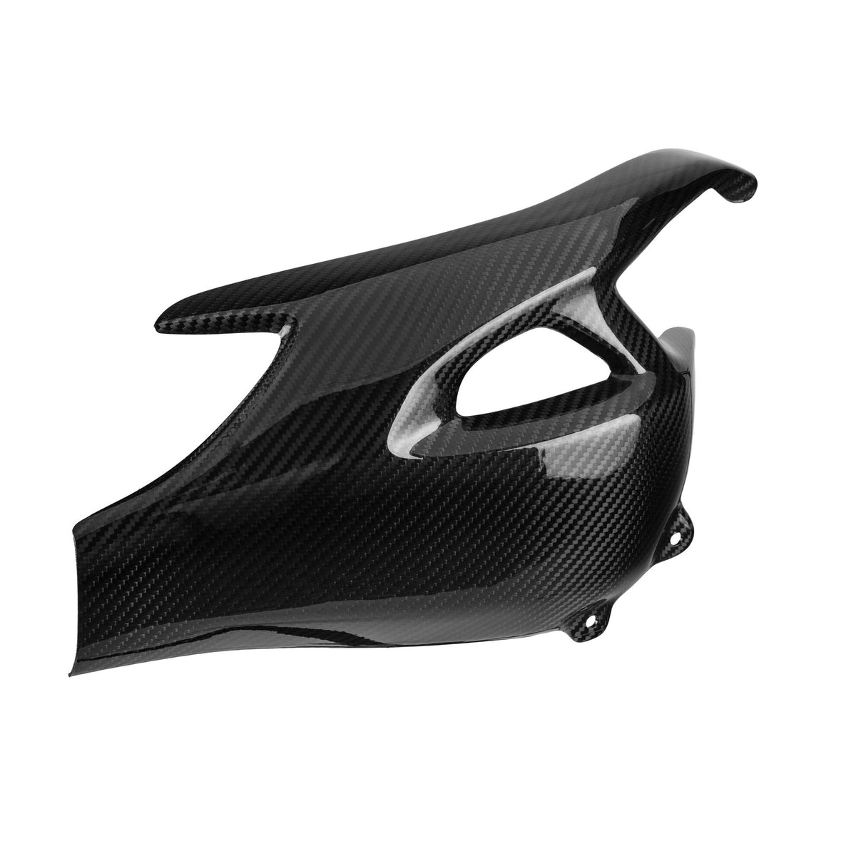 LighTech Carbon Swingarm Protector (Pair) for Triumph Multiple Models
