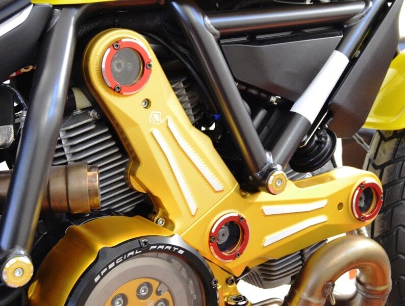 DBK Timing Belt Cover