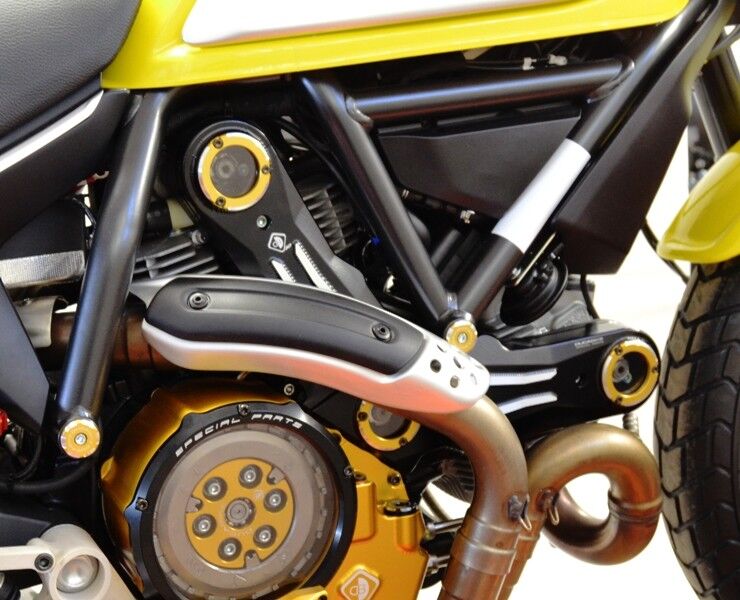 DBK Timing Belt Cover