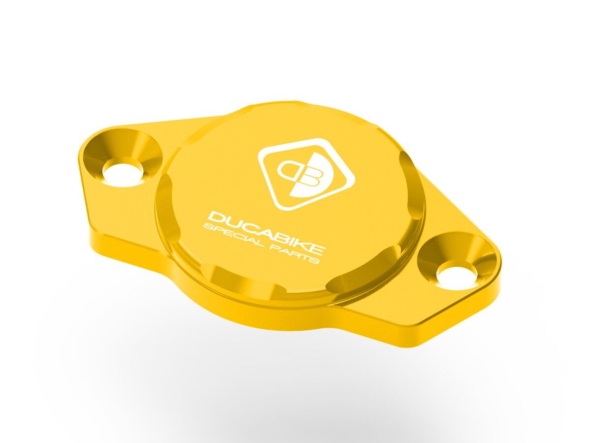 DBK Timing Inspection Cover