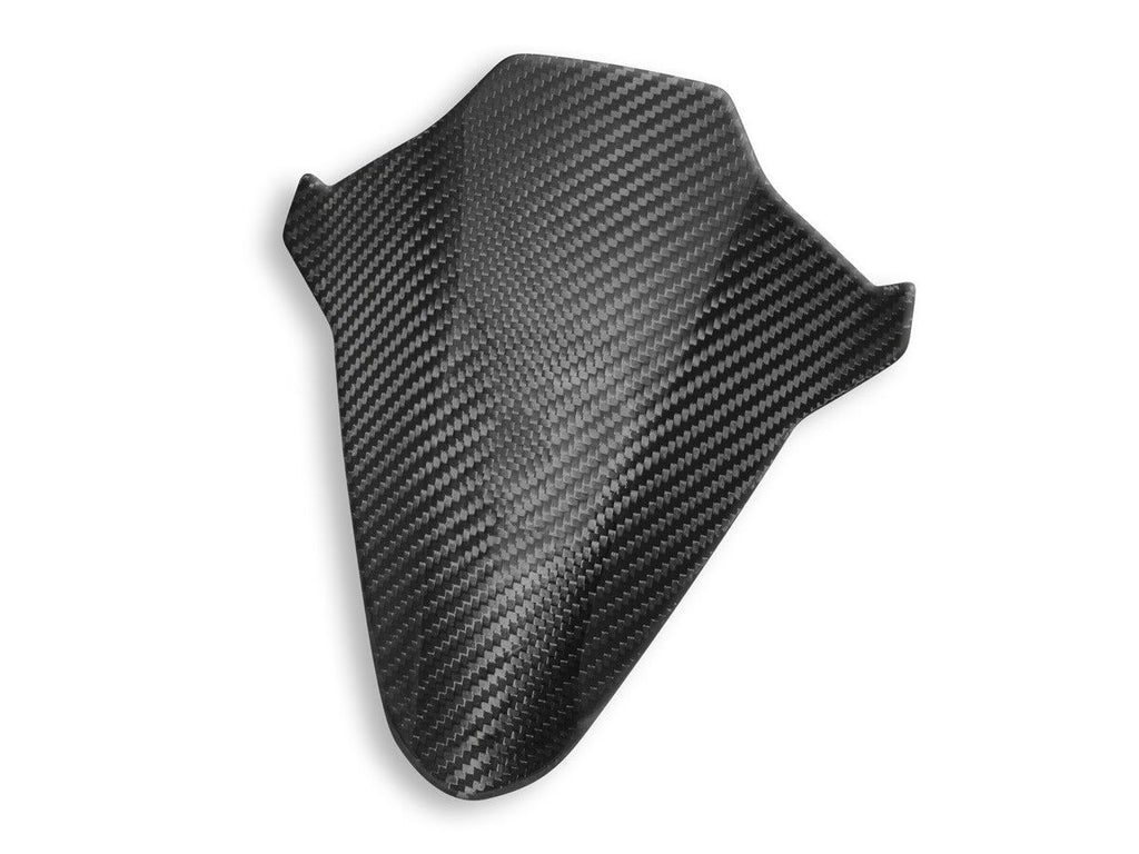 DBK BMW S1000RR Glossy Carbon Wind Screen Inner Panel