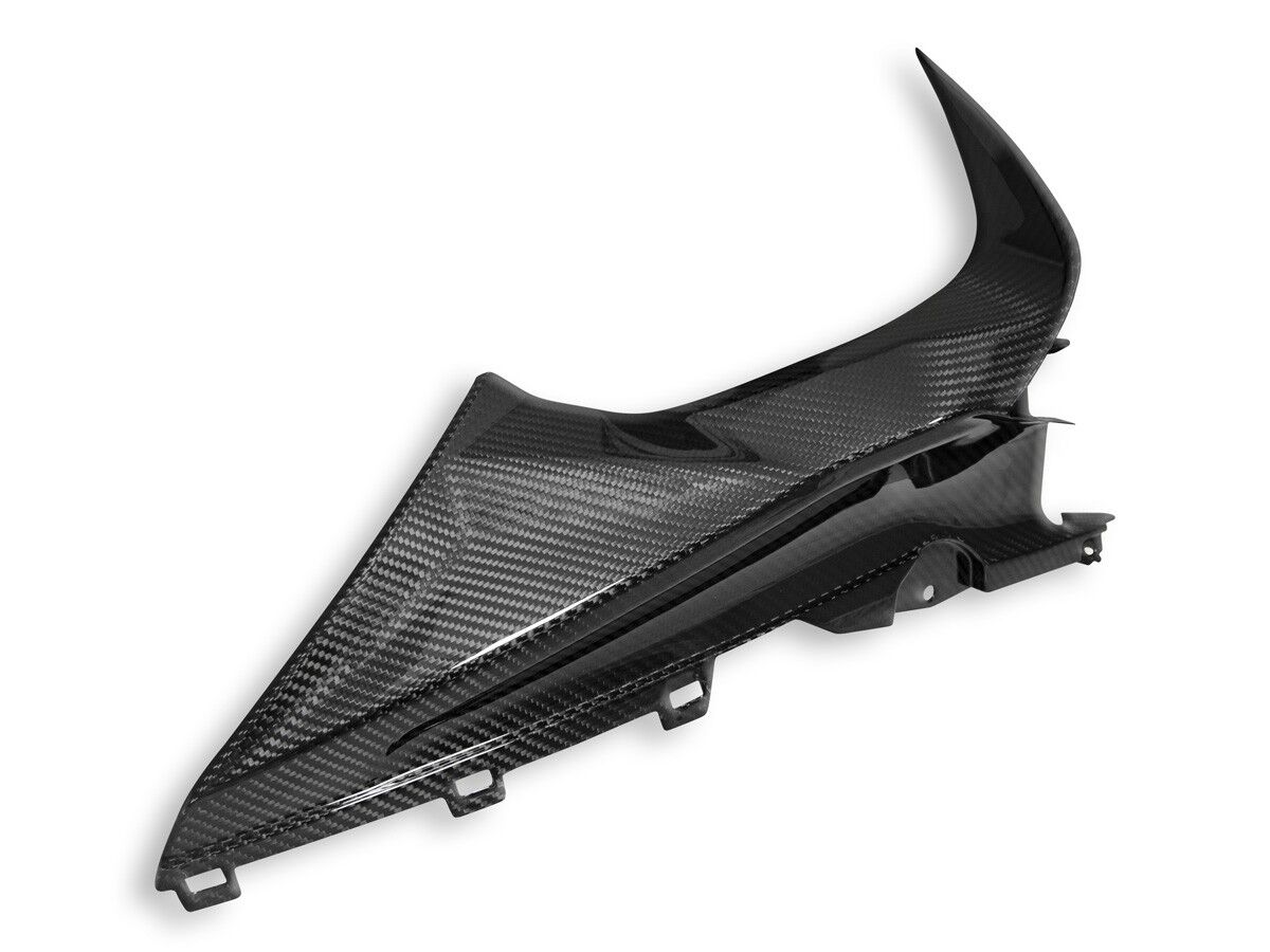 DBK BMW S1000RR Glossy Carbon Infil Panel