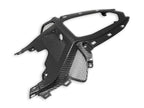 DBK BMW S1000RR Glossy Carbon Passenger Seat Support
