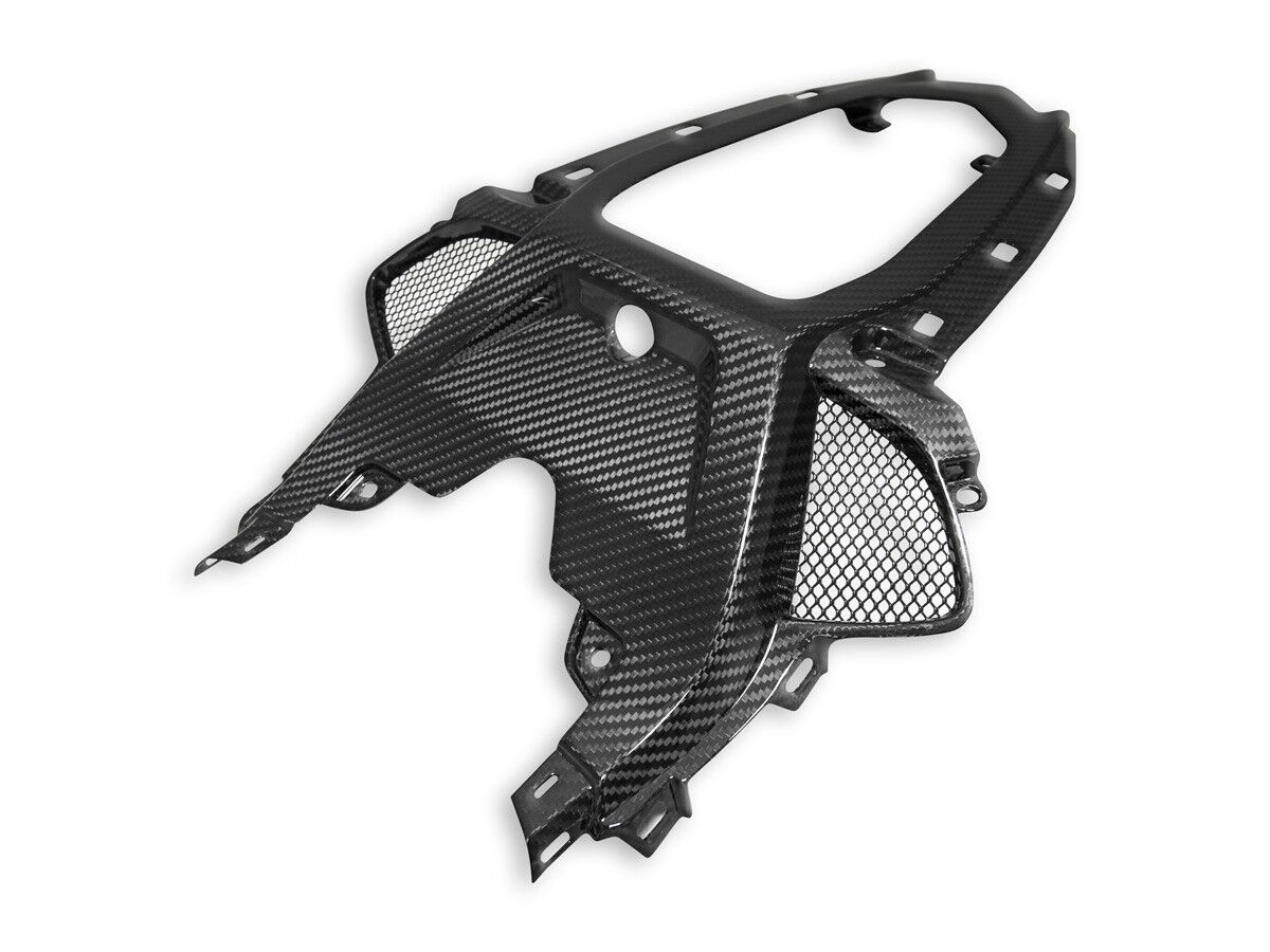 DBK BMW S1000RR Glossy Carbon Passenger Seat Support