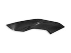 DBK BMW S1000R Side Panels Polished Carbon
