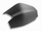 DBK Carbon Swingarm Guard